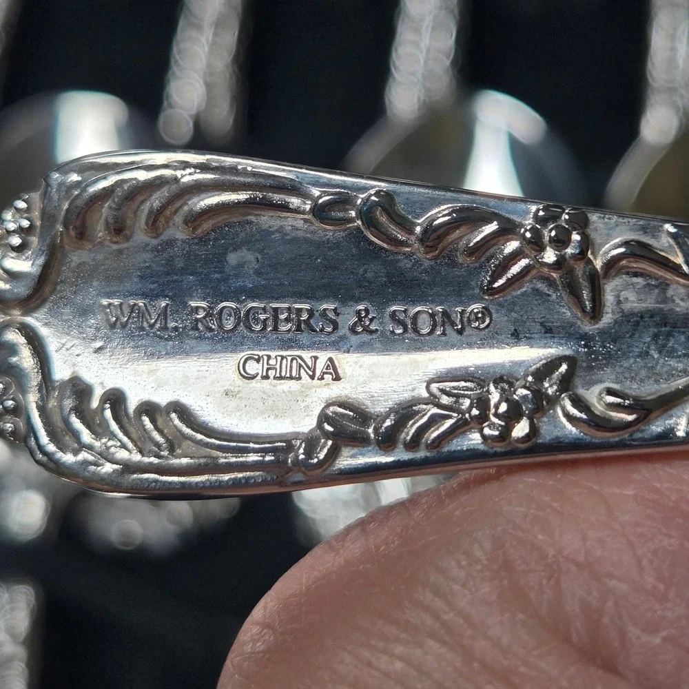 Wm Rogers & Son Enchanted Rose Silverplate Flatware 51 pc Service for 12 Case